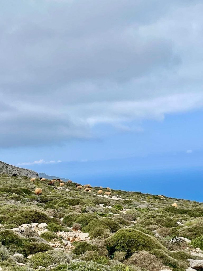 greek island