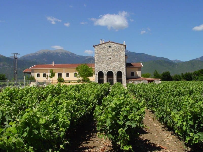 Wine tours