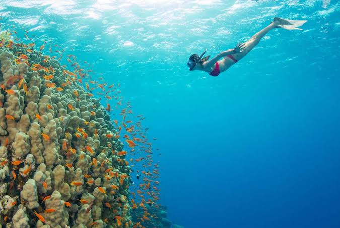 snorkelling Jamaica